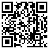 口袋妖怪黑白2中文版rom