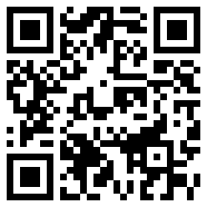飞极速软件完美版