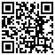 pogavlauncher轻量版
