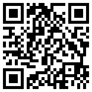 vivox300图片高清大图