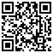 divirtual汉化安卓版