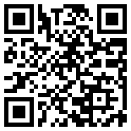 qq浪人记牌器