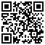 终端模拟器v10