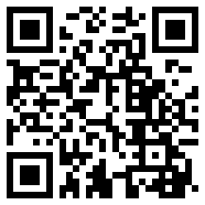 口袋决斗2