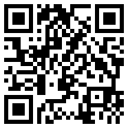 口袋妖怪格斗